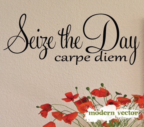 Seize the Day Carpe Diem Vinyl Wall Quote Decal Letters  